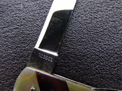 DSCN6634.JPG