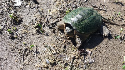 20170522_095445.jpg