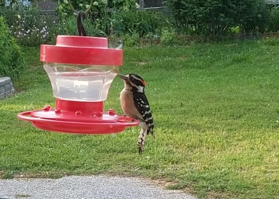 20170523_183003.jpg