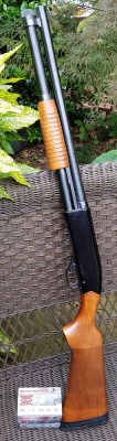 20170526_095159.jpg