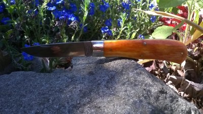 WP_20170526_003.jpg
