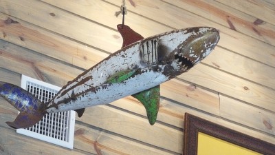 20170528_144155.jpg
