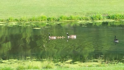 20170527_090600.jpg