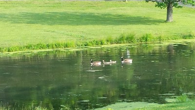 20170527_090607.jpg