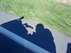 229009_10150597336690727_5340491_n.jpg