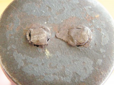 PICT0020.JPG