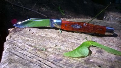 WP_20170606_005.jpg