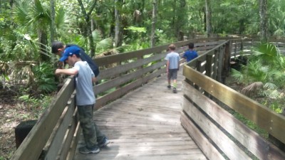 20170608_145459.jpg