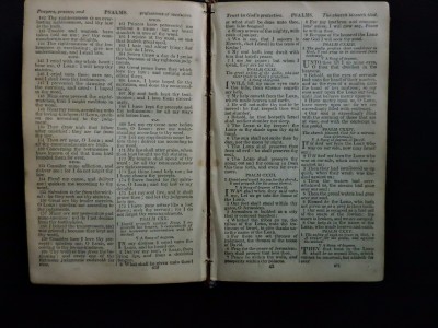 DSCN7221.JPG