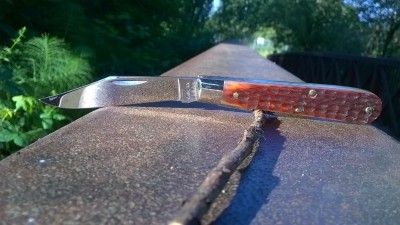 WP_20170610_026.jpg