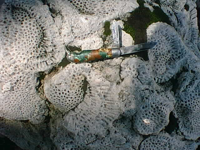 01010013.JPG
