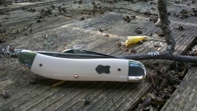 WP_20170609_002.jpg