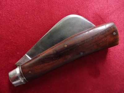 DSCN7381.JPG