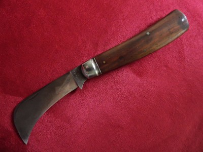 DSCN7382.JPG