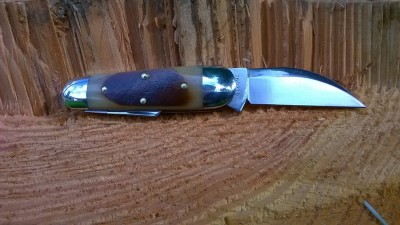 WP_20170616_061.jpg