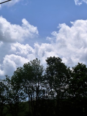 P1010819.JPG