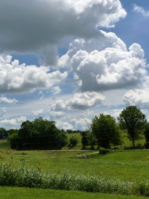 P1010826.JPG