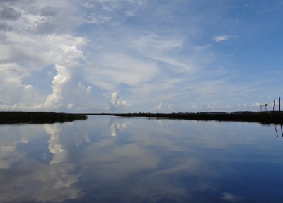 Typical coast line