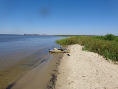 An unusual patch of beach off Bayou la Batre