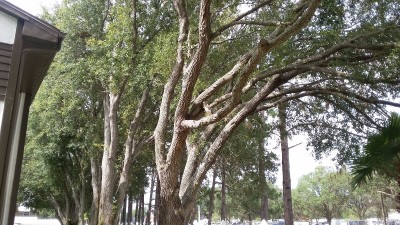 20170621_104525.jpg