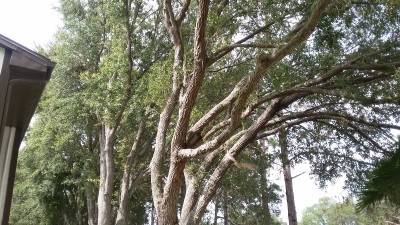 20170621_104528.jpg