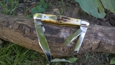 WP_20170622_023.jpg