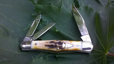WP_20170622_026.jpg