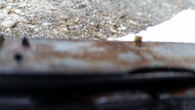 20170623_093852.jpg