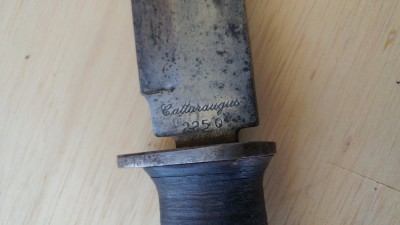 20170625_111635.jpg