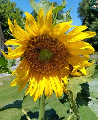 20170625_110109.jpg