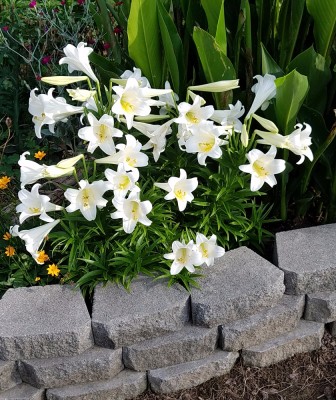 20170601_074547.jpg