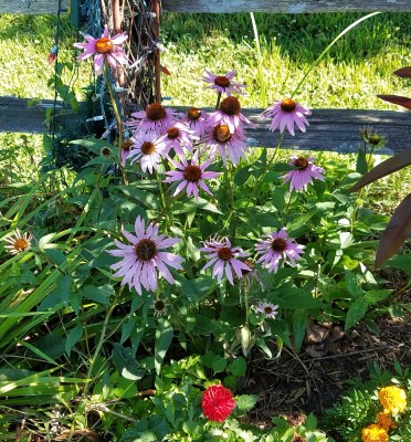 20170628_102522.jpg