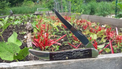20170629_125215.jpg