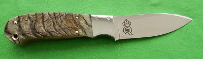 Queen Kious - Rams Horn - 02.JPG