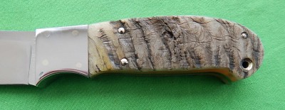 Queen Kious -Rams Horn - 01.JPG