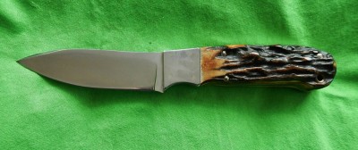 Queen - Kious - Stag - 02.JPG