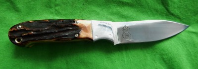 Queen - Kious Stag - 01.JPG