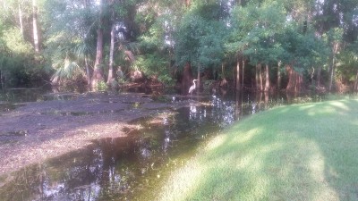 20170629_191147.jpg