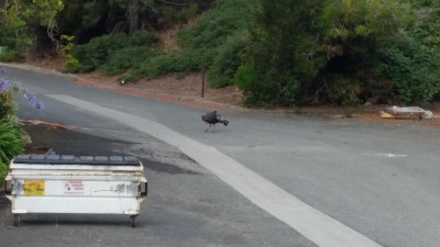 20170702_101805.jpg