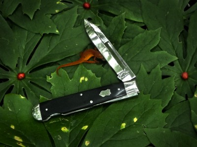 2012-tuna-valley-lockback-ebony3.jpg