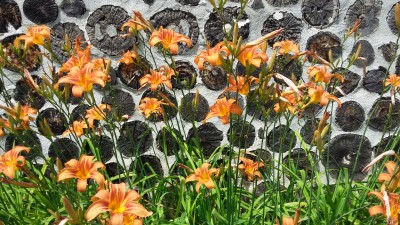 20170704_143055.jpg