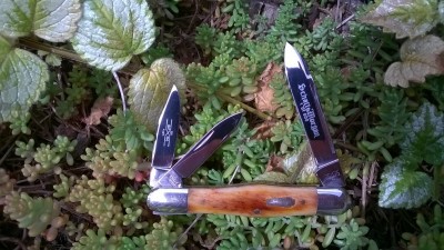 WP_20170710_008.jpg