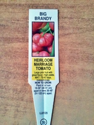 Big Brandy Tomato.jpg