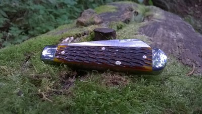 WP_20170709_067.jpg