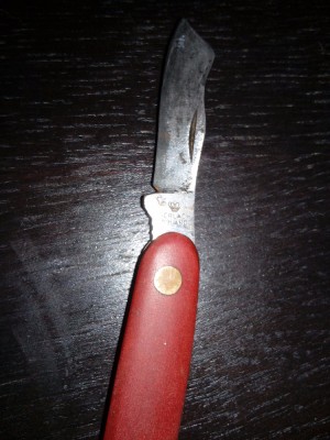 IMG_20170713_000446.jpg
