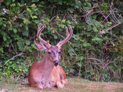 PICT0004.JPG