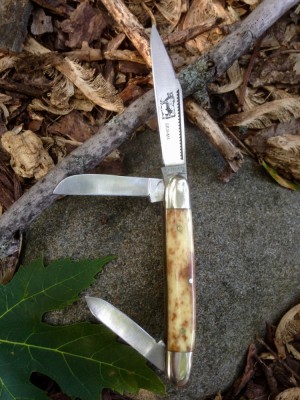 Parker Cut Bramha 3 - 1.jpg