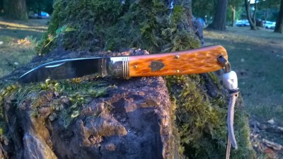 WP_20170715_007.jpg