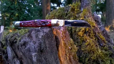 WP_20170715_018.jpg