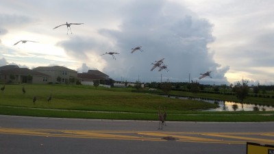 20170721_191843.jpg